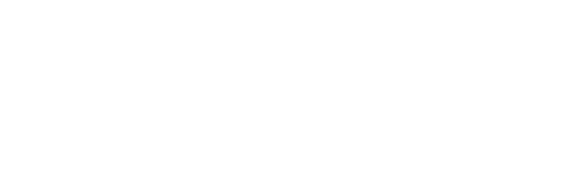 logo Elwema weiß